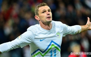 星空体育官网入口-斯洛伐克队三战全败，遗憾结束欧锦赛之旅