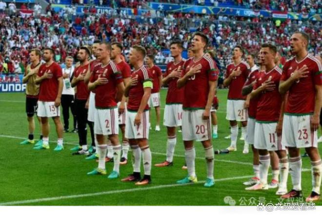 星空体育官网入口-匈牙利队击败挪威队，晋级淘汰赛-第1张图片-星空体育官方网站